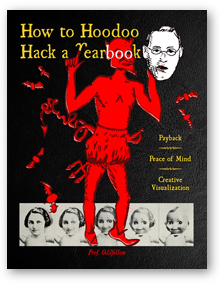 How to Hoodoo Hack a Yearbook book cover