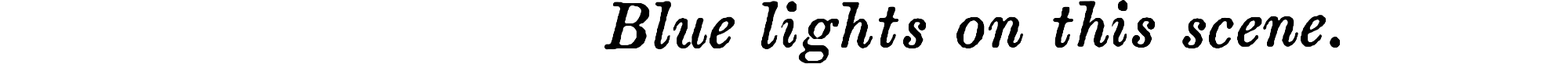 stage-direction/blue-lights.png