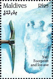 Fool - Maldives